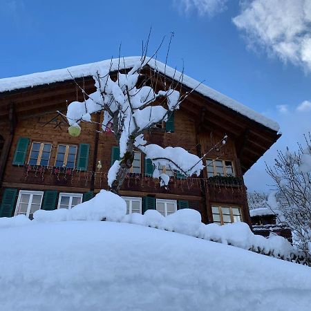 Chalet Schiltwald Innerwengen Exteriér fotografie