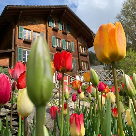Chalet Schiltwald Innerwengen Exteriér fotografie