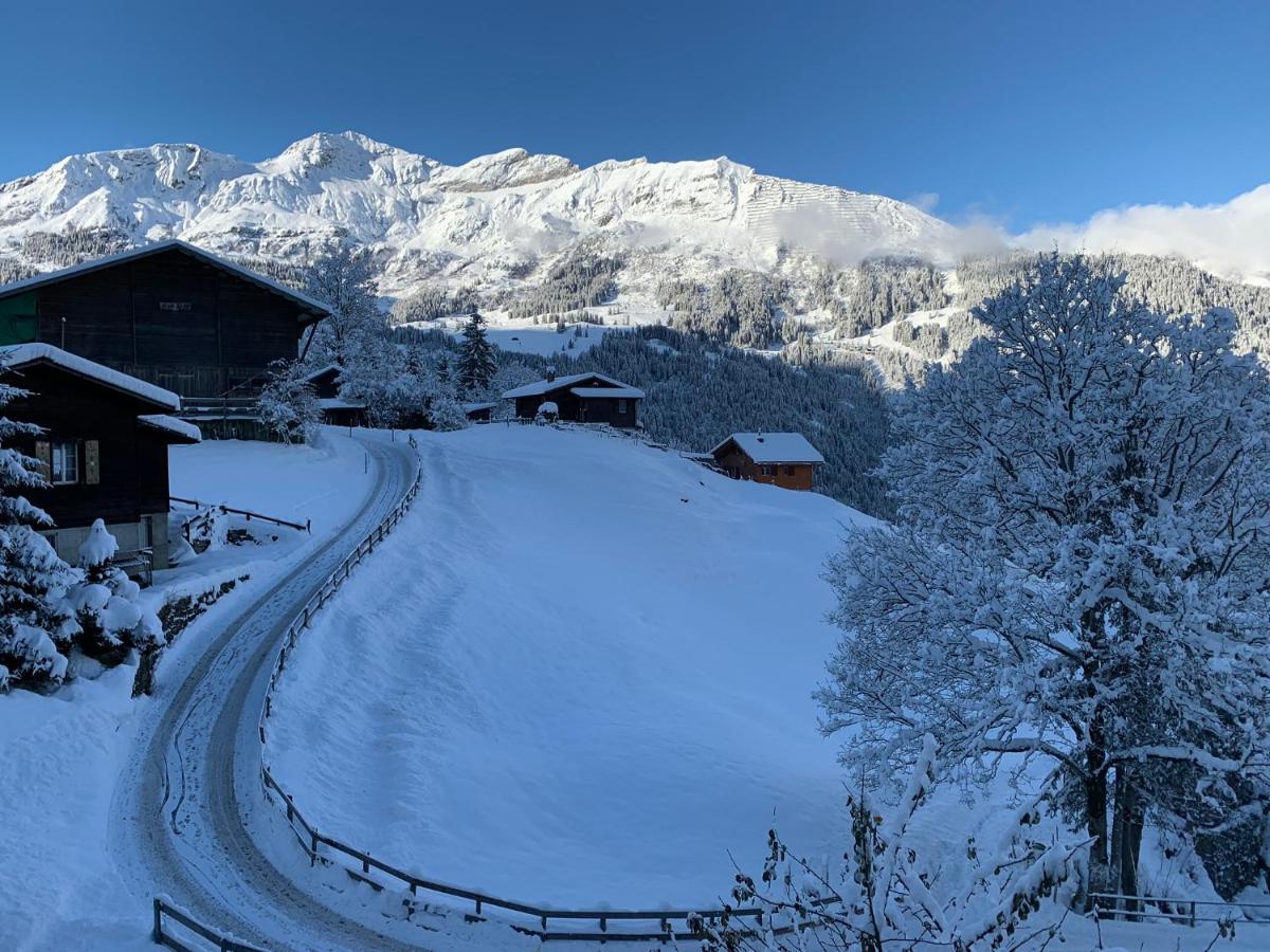 Chalet Schiltwald Innerwengen Exteriér fotografie