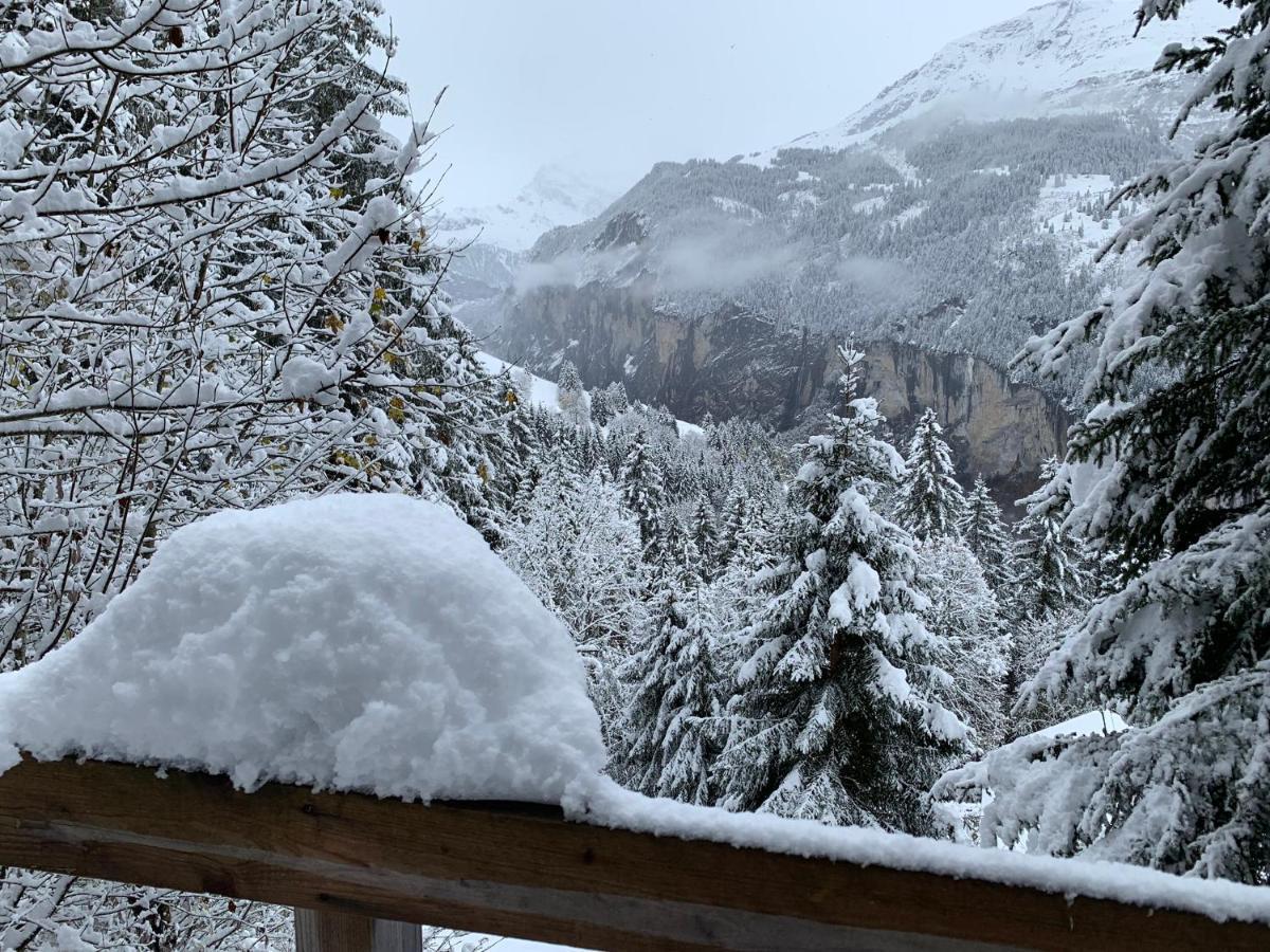 Chalet Schiltwald Innerwengen Exteriér fotografie