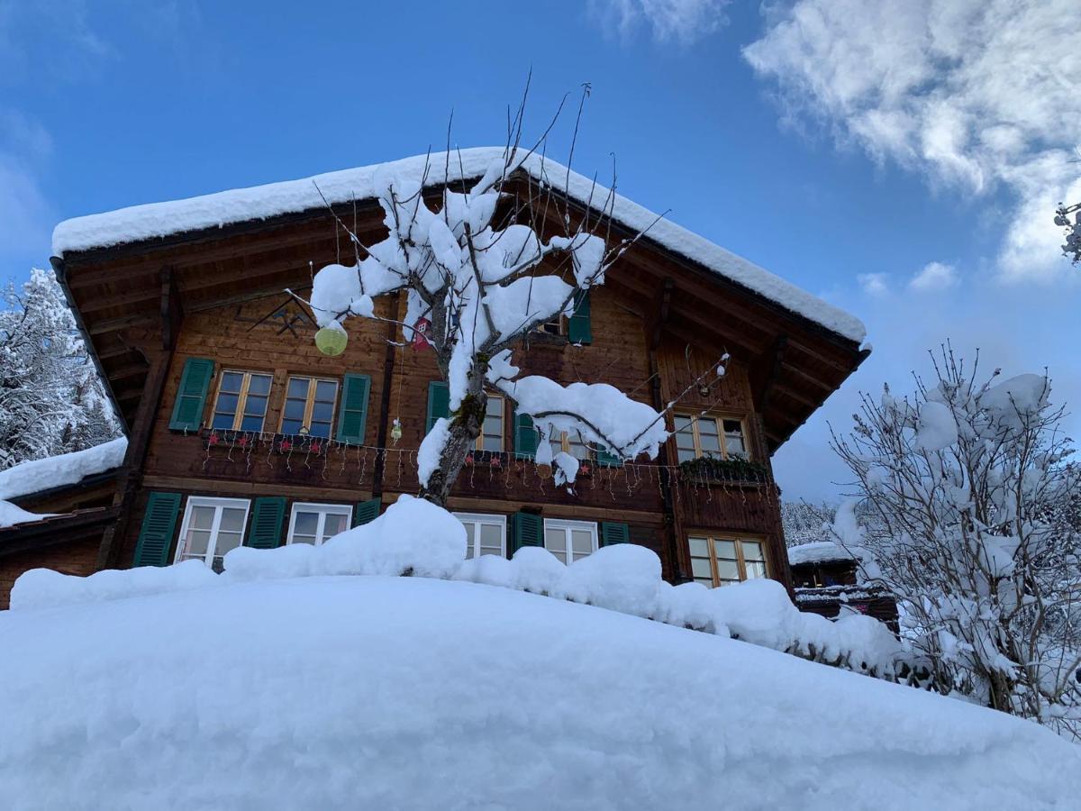 Chalet Schiltwald Innerwengen Exteriér fotografie