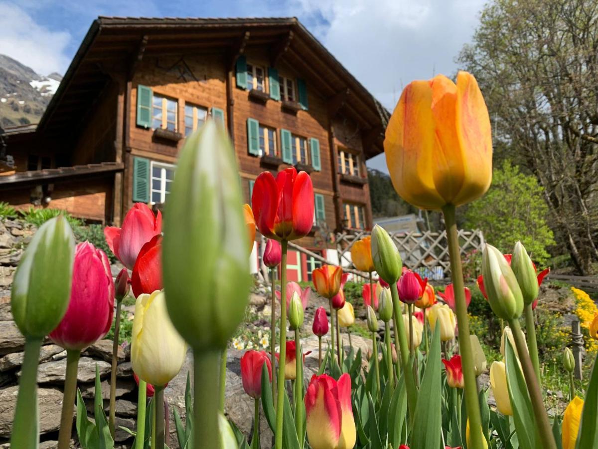 Chalet Schiltwald Innerwengen Exteriér fotografie